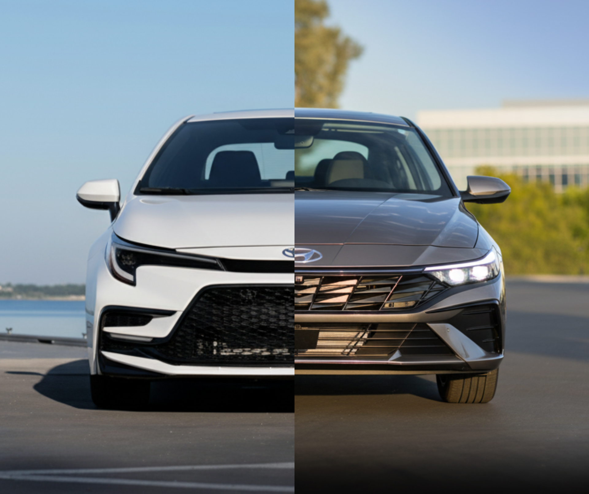 Toyota Corolla/Hyundai Elantra
