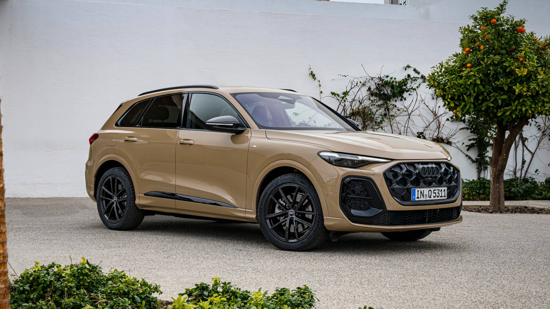 2025 Audi Q5