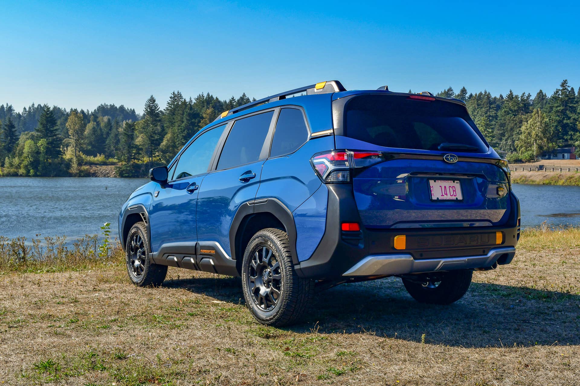 The rear end of the 2026 Subaru Forester Wilderness