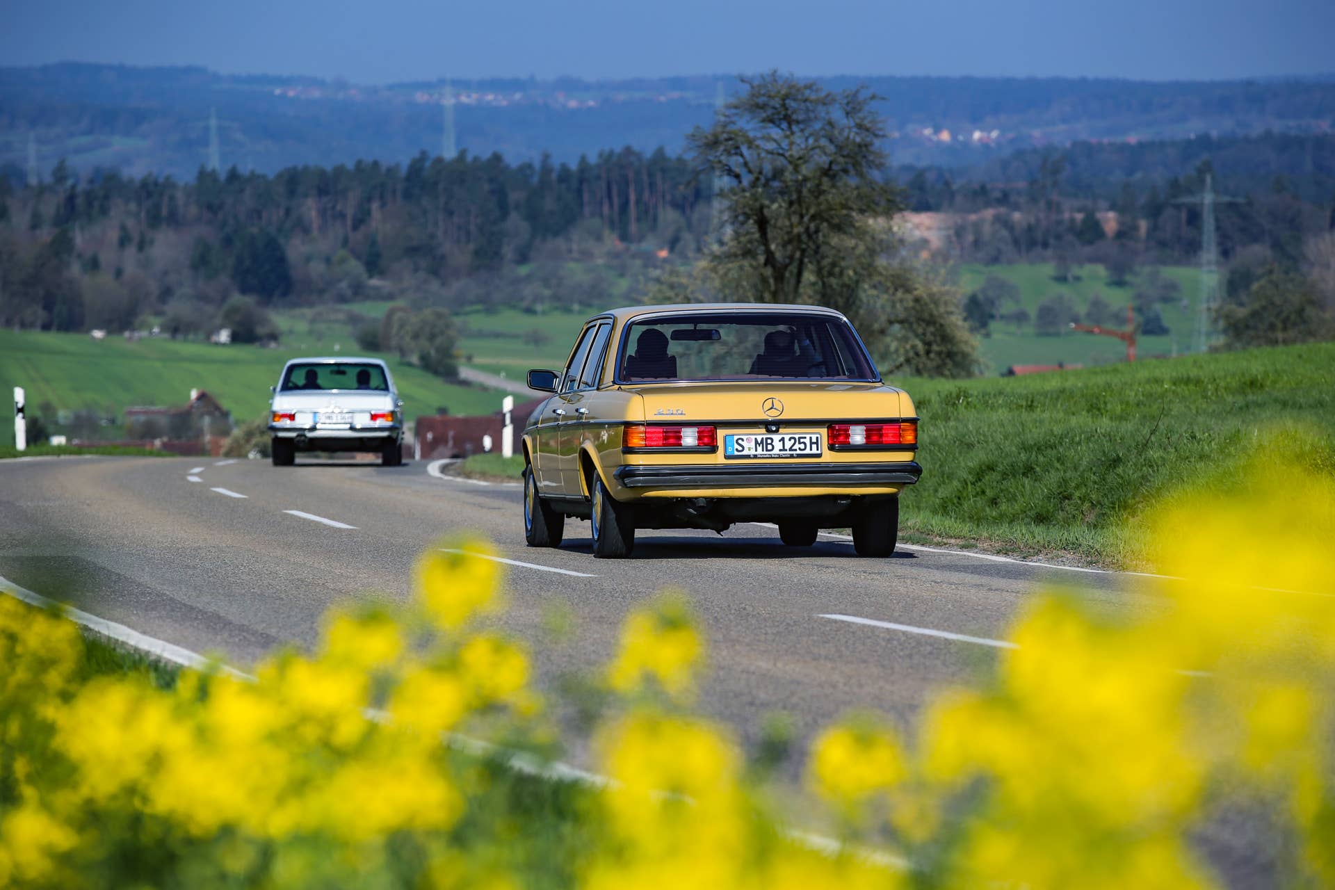 W123 Mercedes-Benz 230