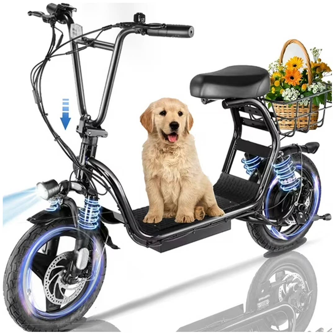 Sanopy Electric Scooter