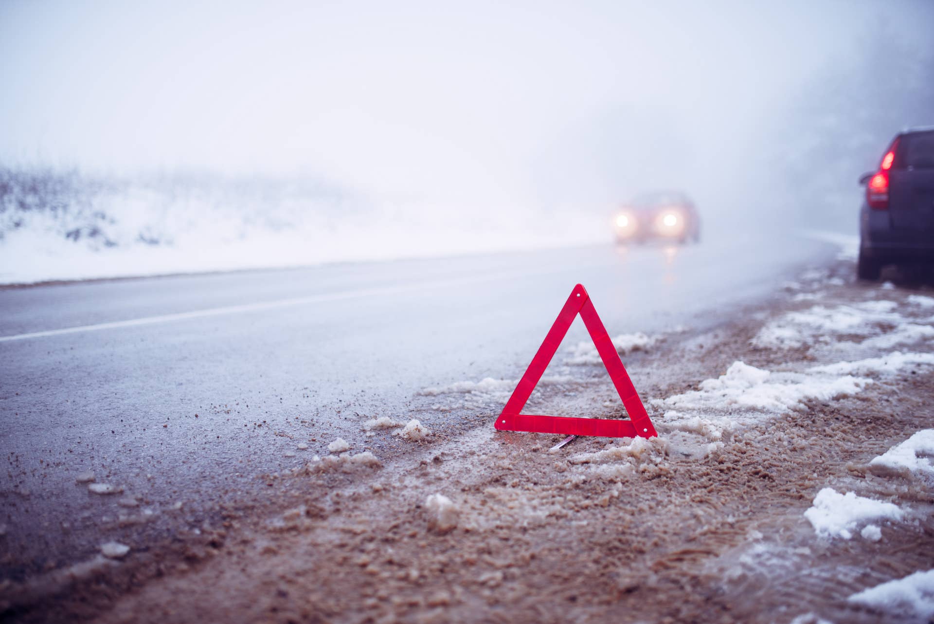 Winter Storm Warning: Up to 24 Inches of Snow and 55 MPH Gusts Threaten ...