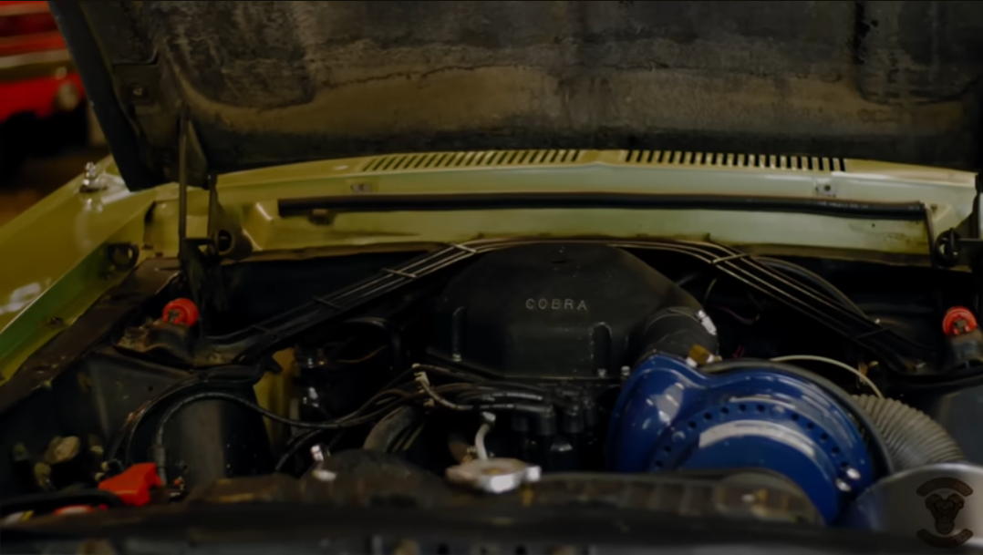 ONE owner, '67 Shelby GT350 - Heart and Horsepower Interview
