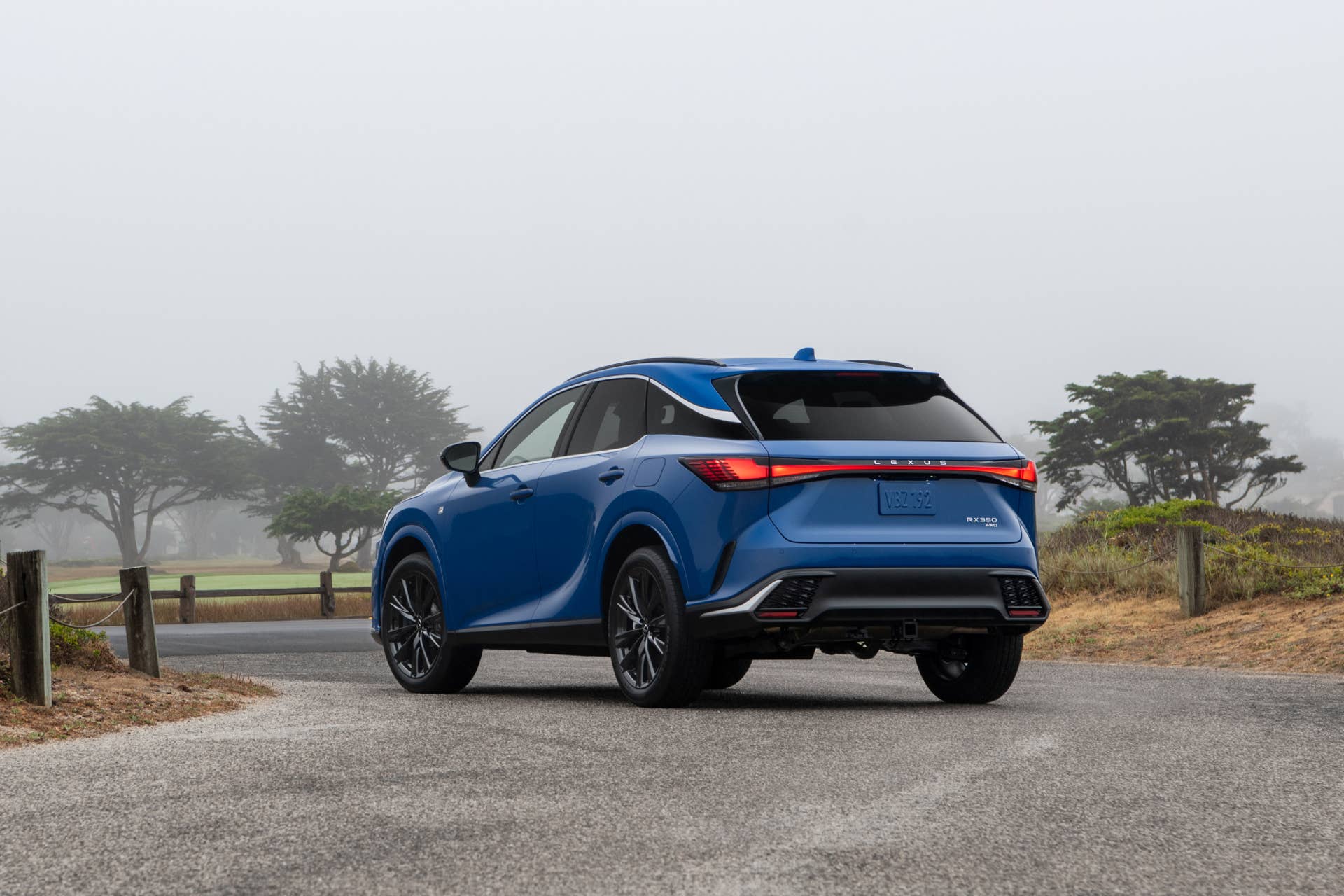 2025-2026 Lexus RX
