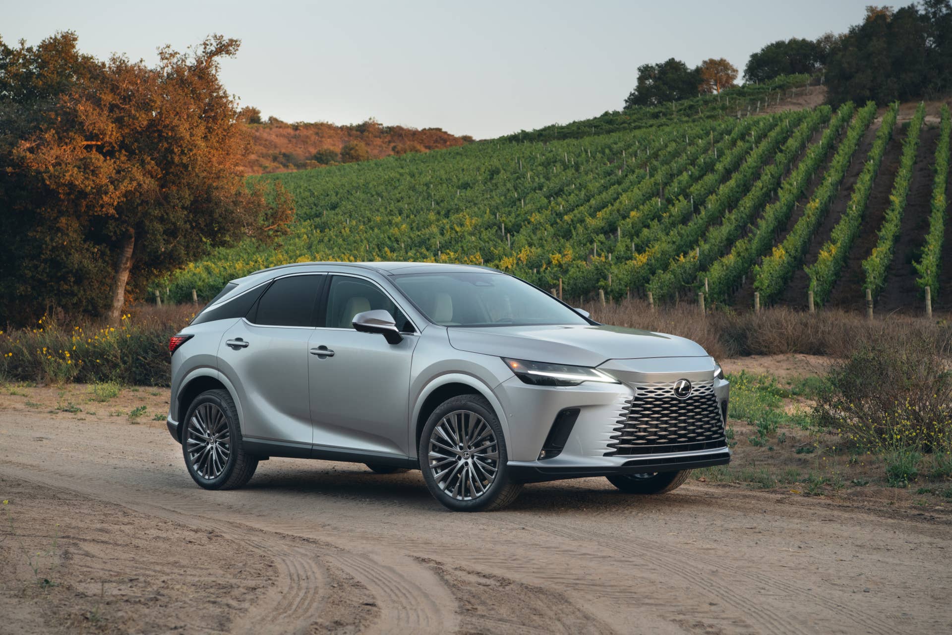 2025-2026 Lexus RX in Iridium front angled view