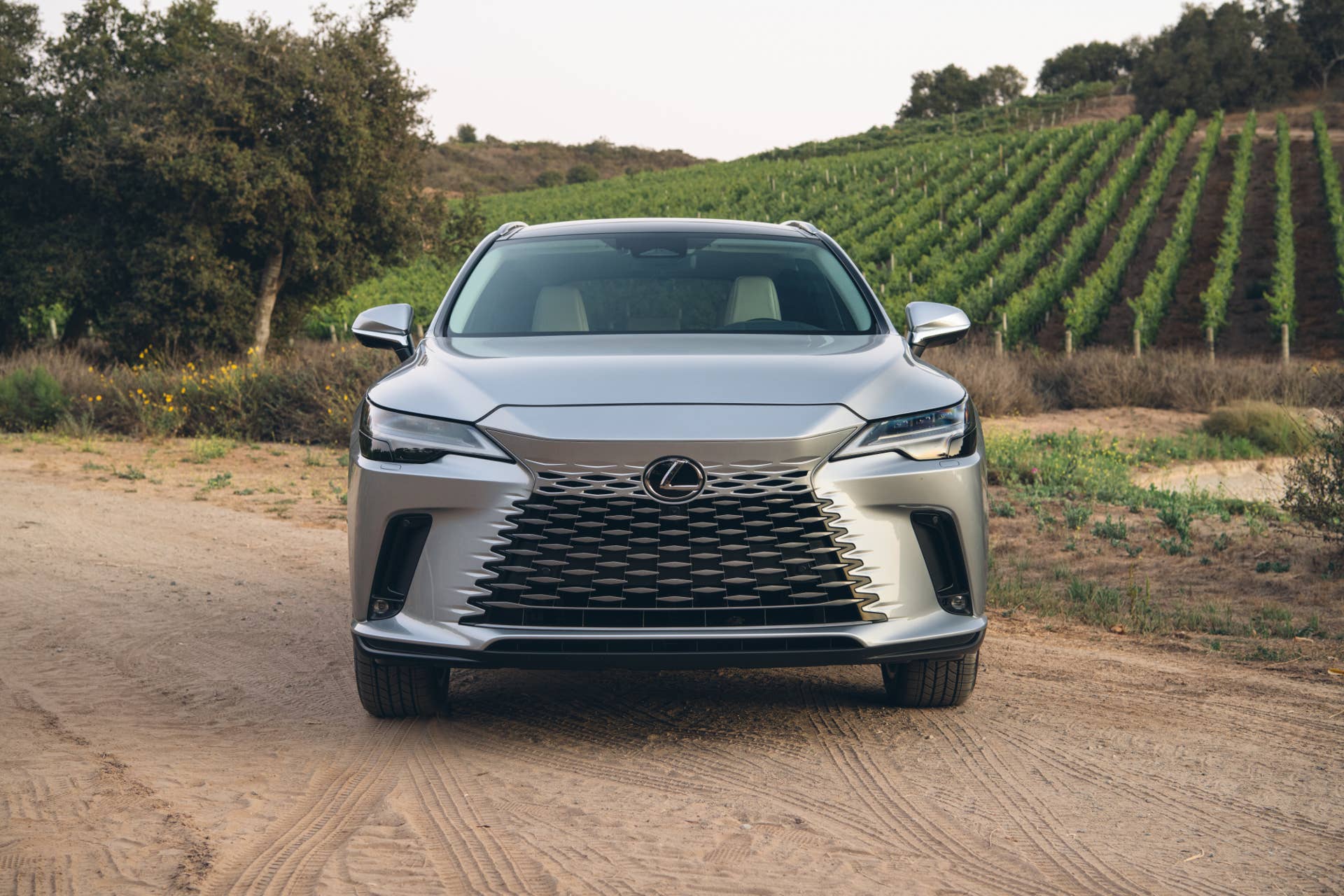 2025-2026 Lexus RX 350h Luxury in Iridium front view