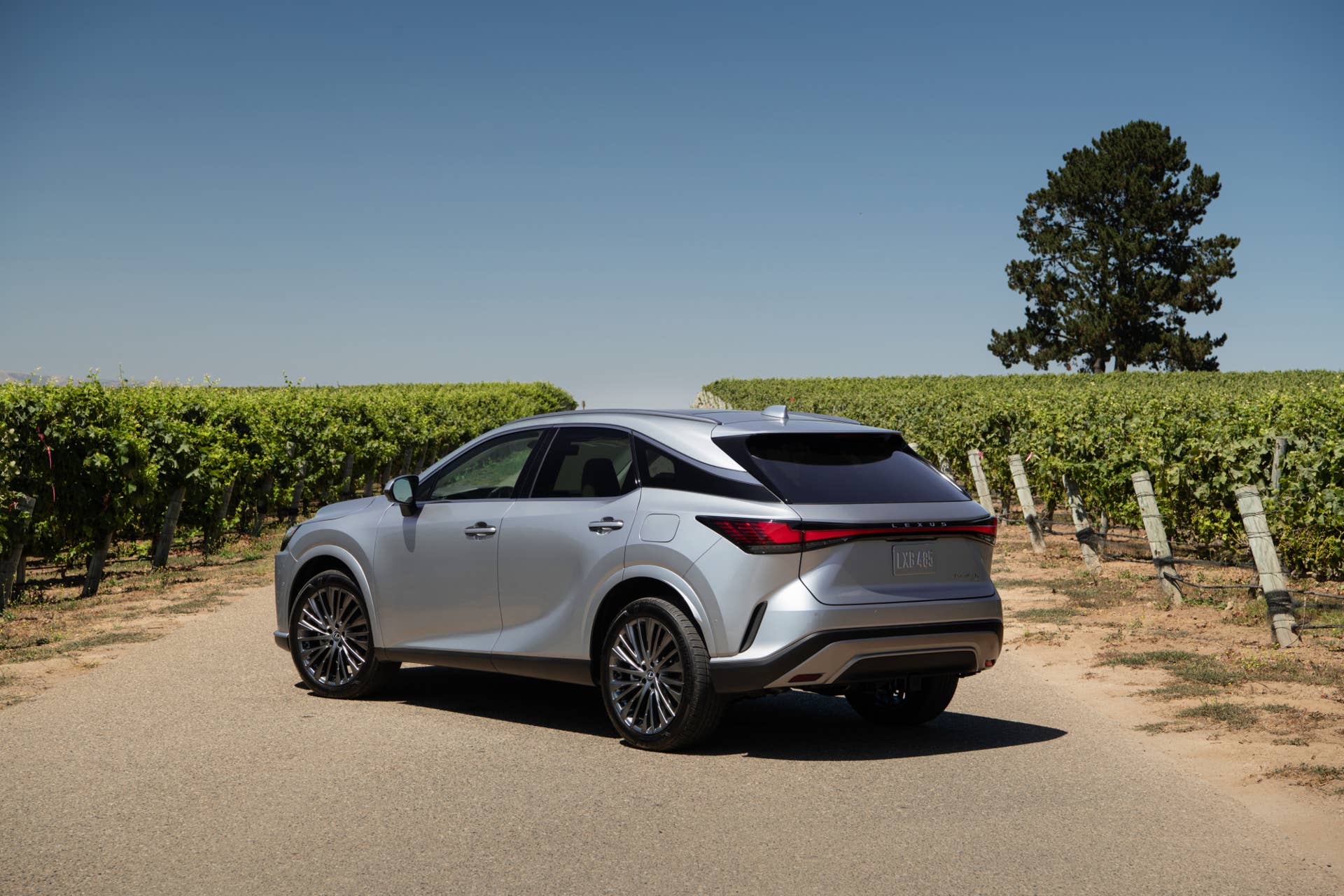2026 Lexus RX Review, Specs, Pricing, and Warranty - Autoblog