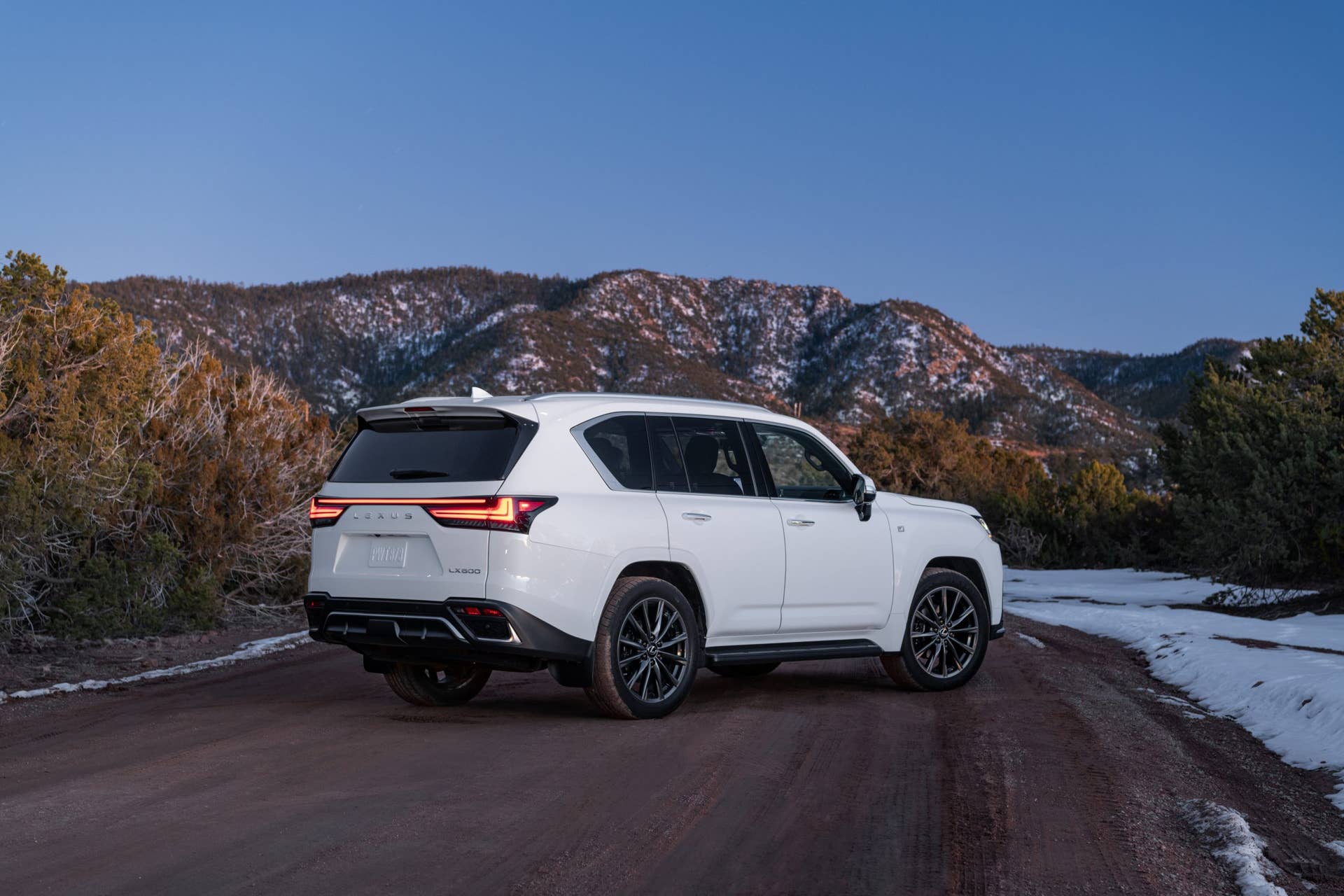 2025-2026 Lexus LX 600 F Sport in white rear angled view