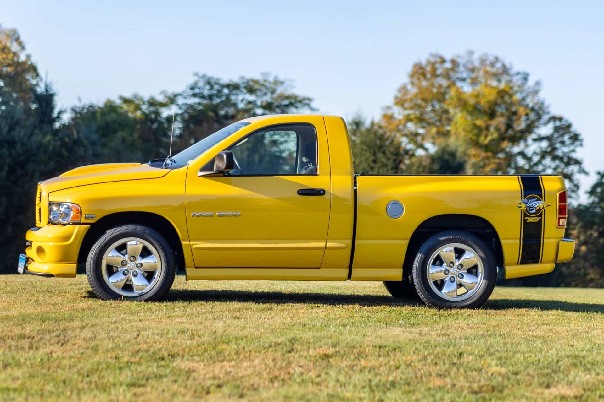 Dodge Ram 1500 Rumble Bee profile