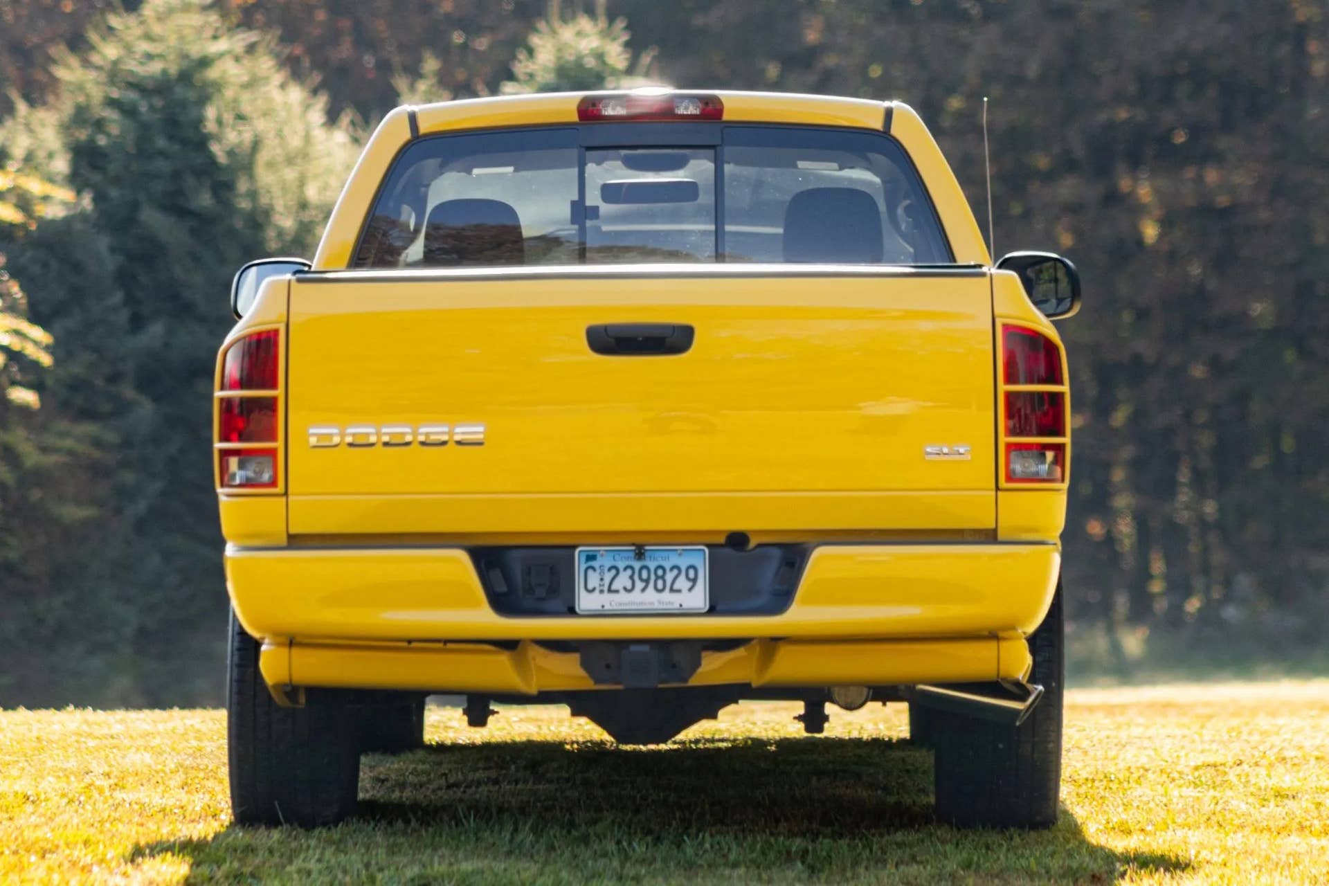Dodge Ram 1500 Rumble Bee dead rear