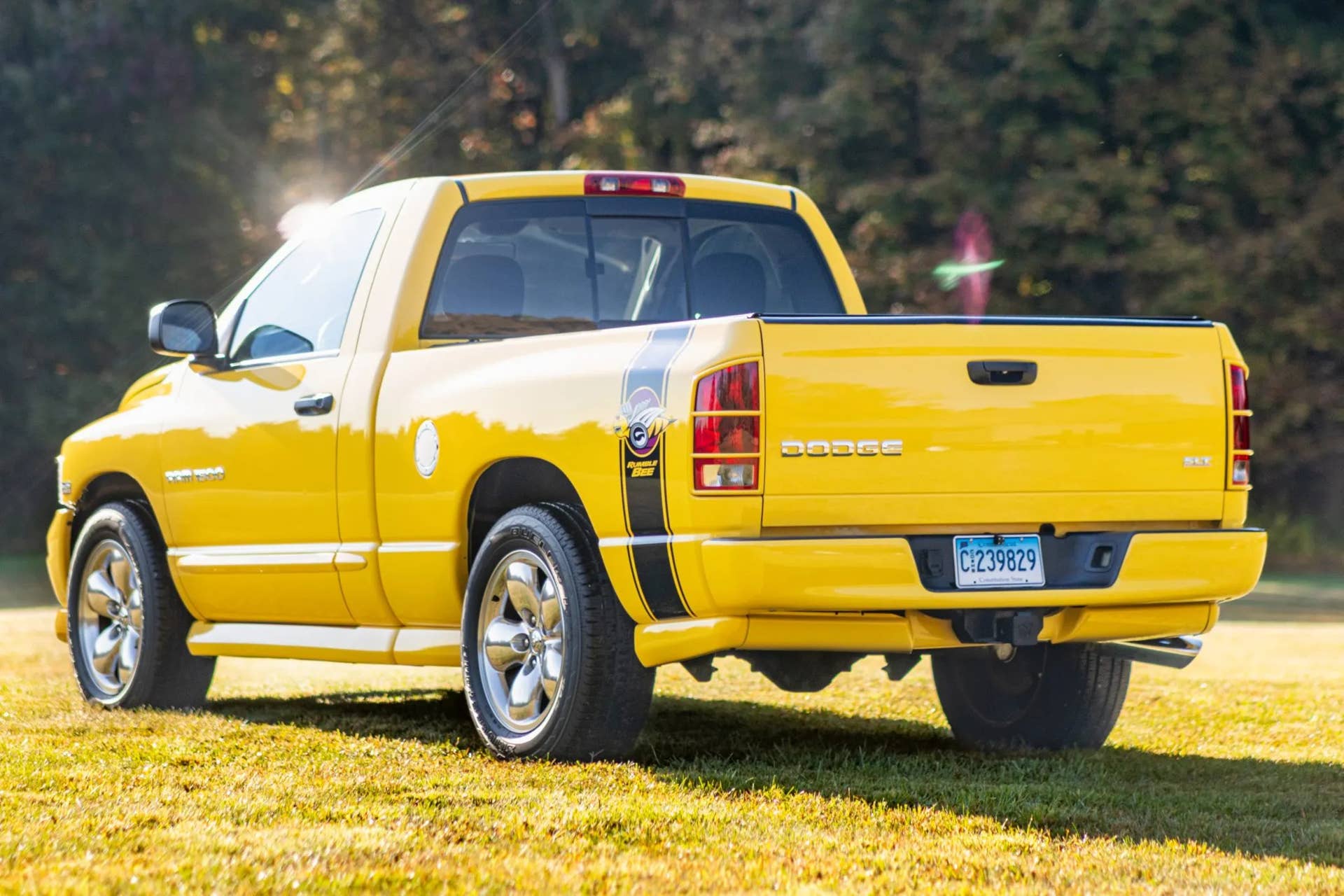 The 2004 Ram Rumble Bee Was The Original Fast V8 Dodge Truck - Autoblog