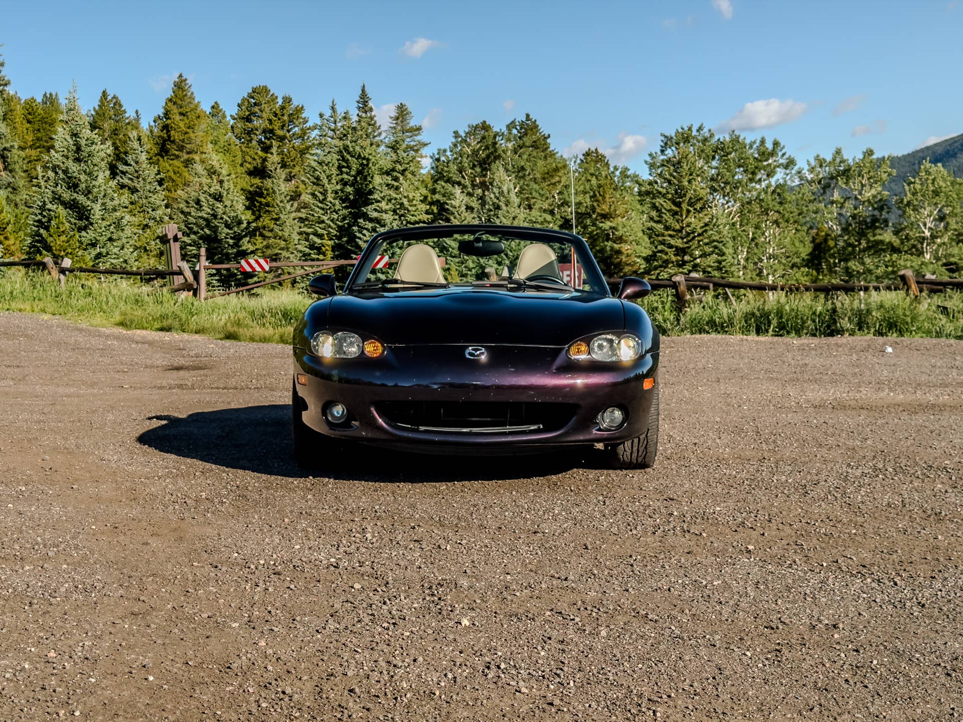 How I Fit My Massive Dog In My Tiny Mazda Miata With A Little Carpentry