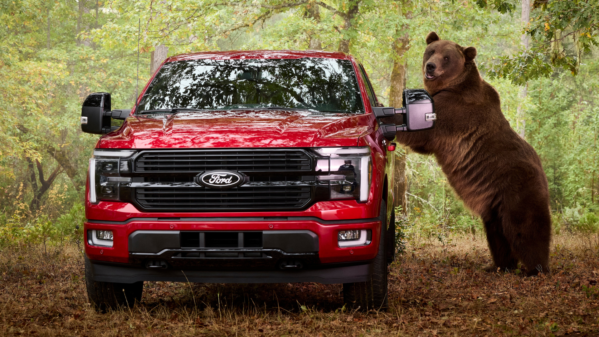 Ford Hired An 800-Pound Bear To Test F-150 Security - Autoblog