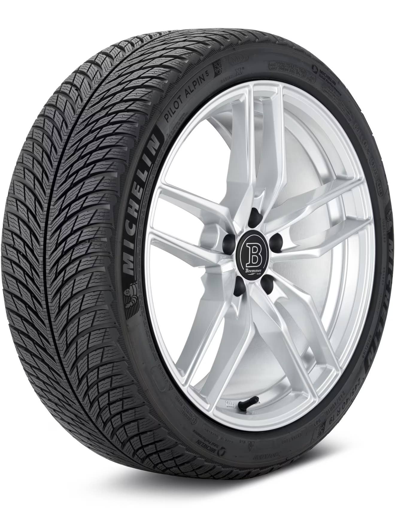 Michelin Pilot Alpin 5