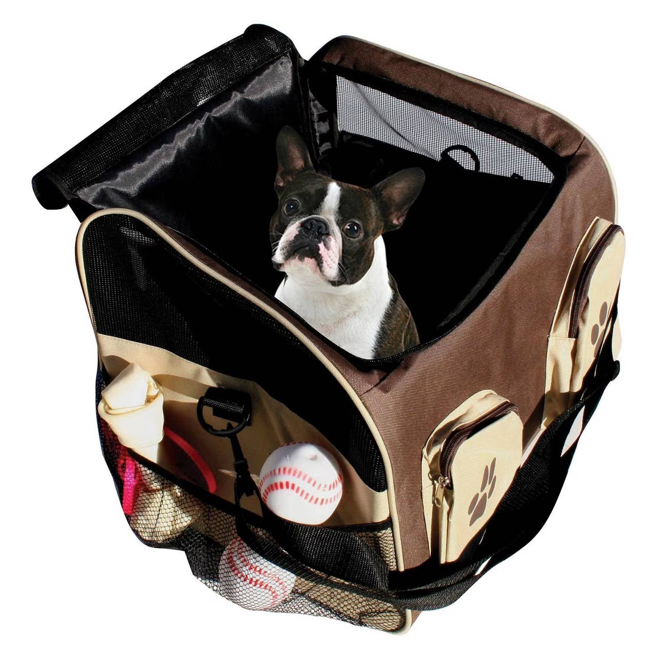 Etna Dog and Cat Car Seat and Carrier