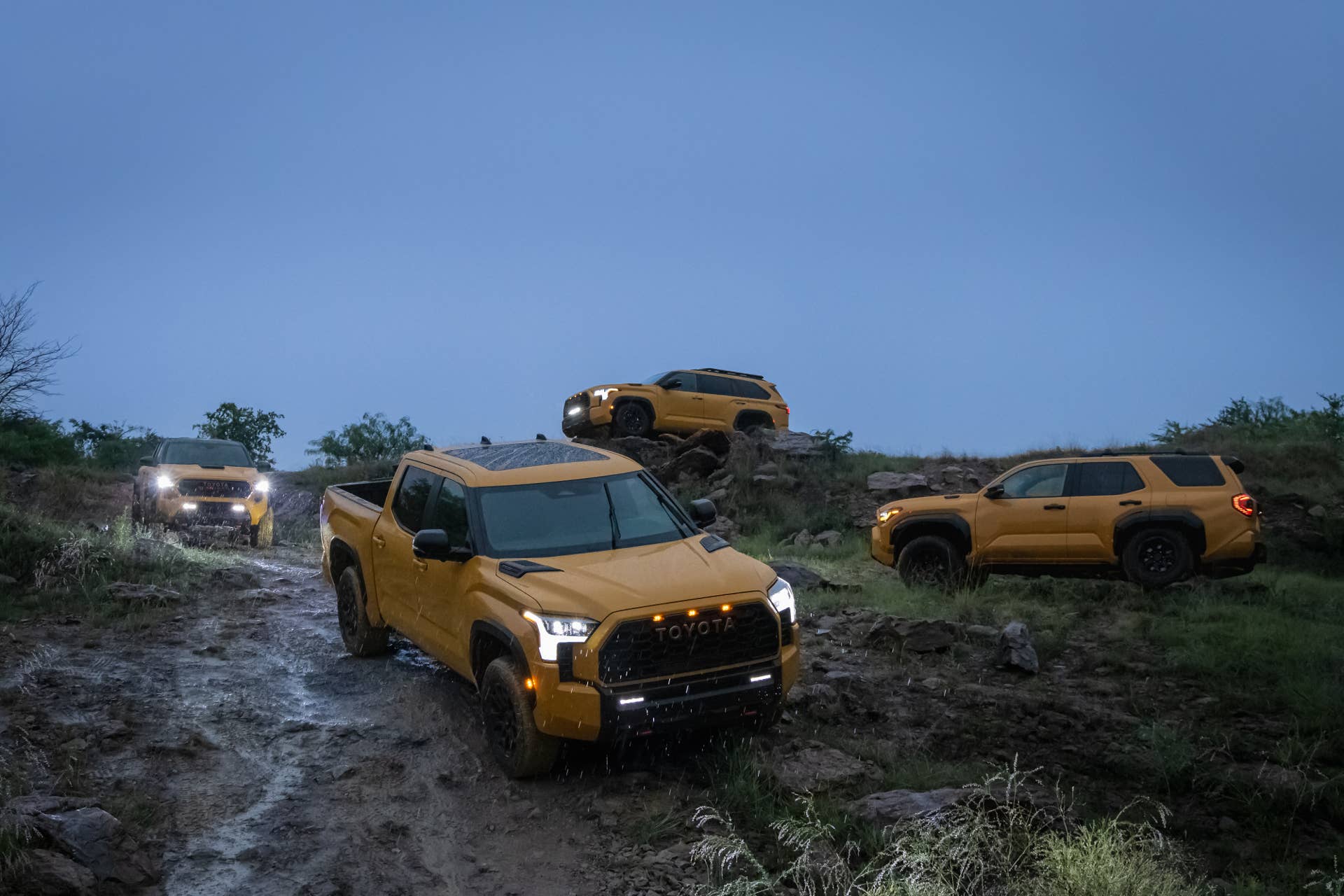 Toyota TRD family