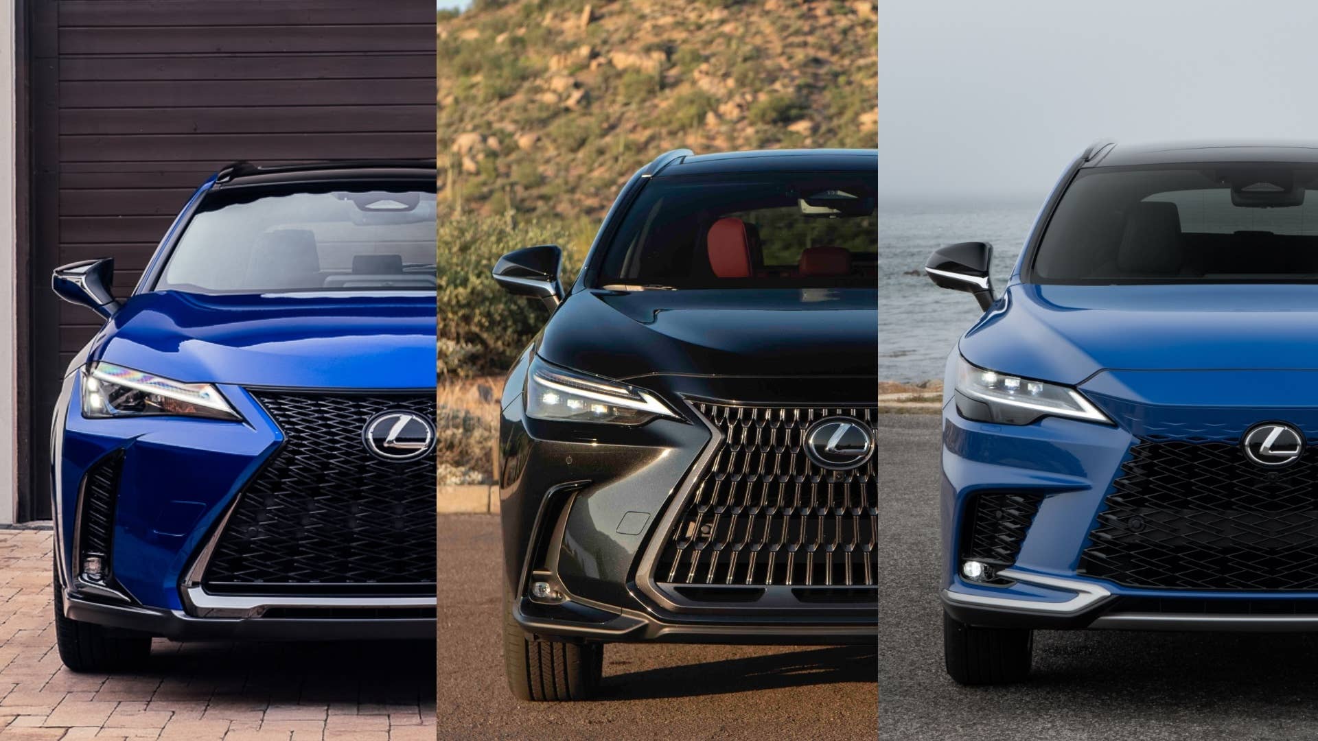 UX vs NX vs RX