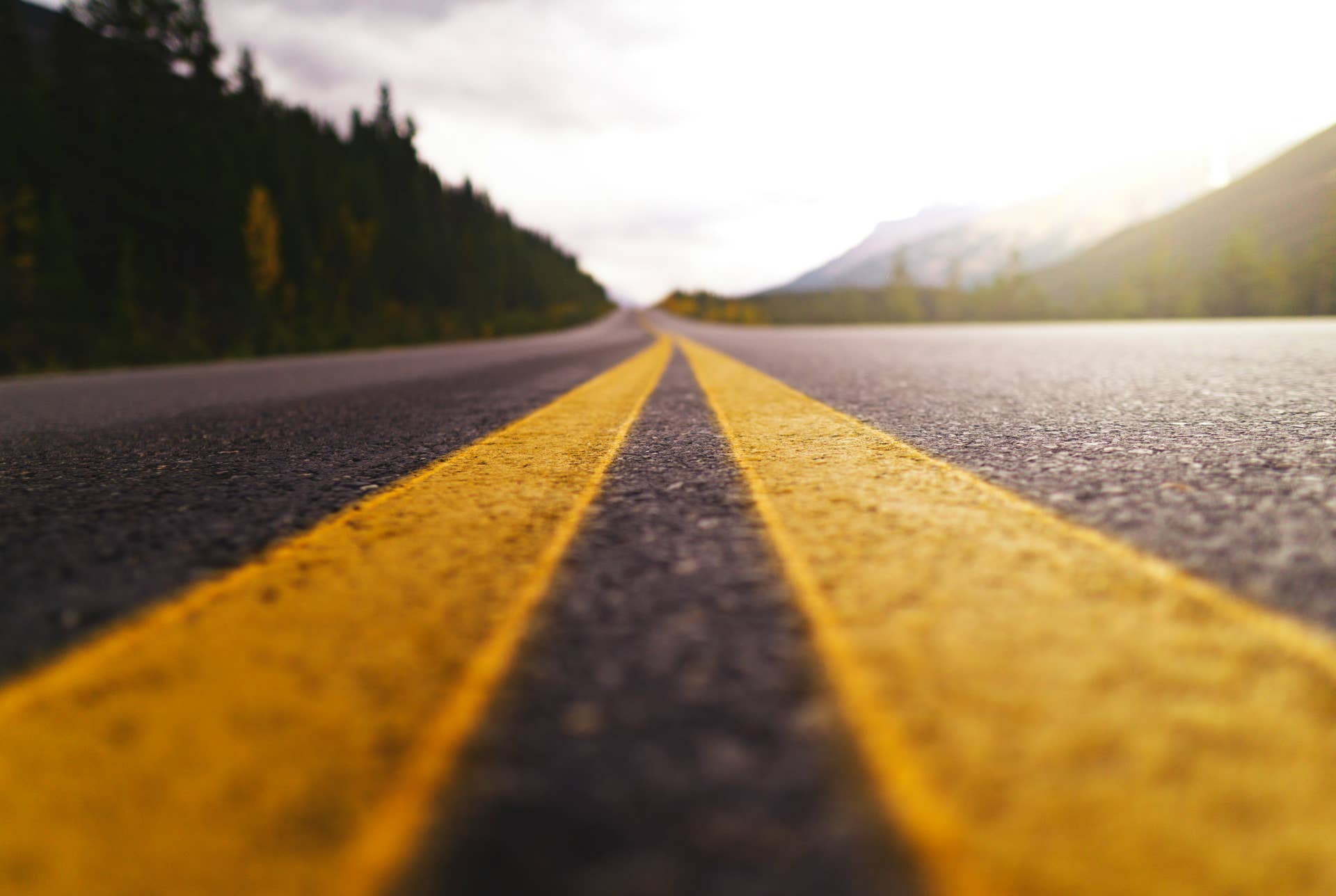Close Up Asphalt Highway Yellow Lines Into Remote Wilderness