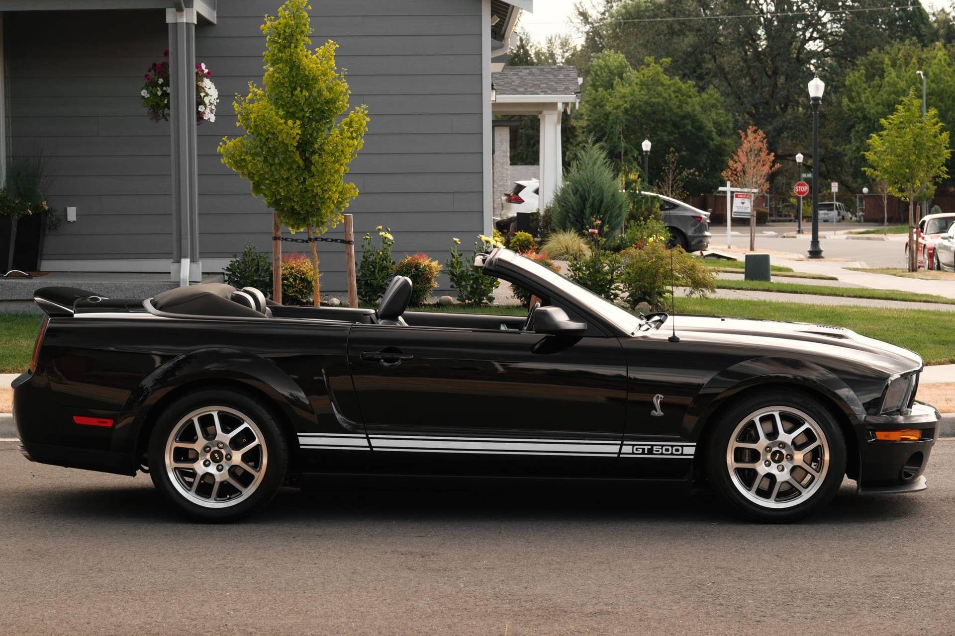 2007 Ford Mustang Shelby GT500 Convertible