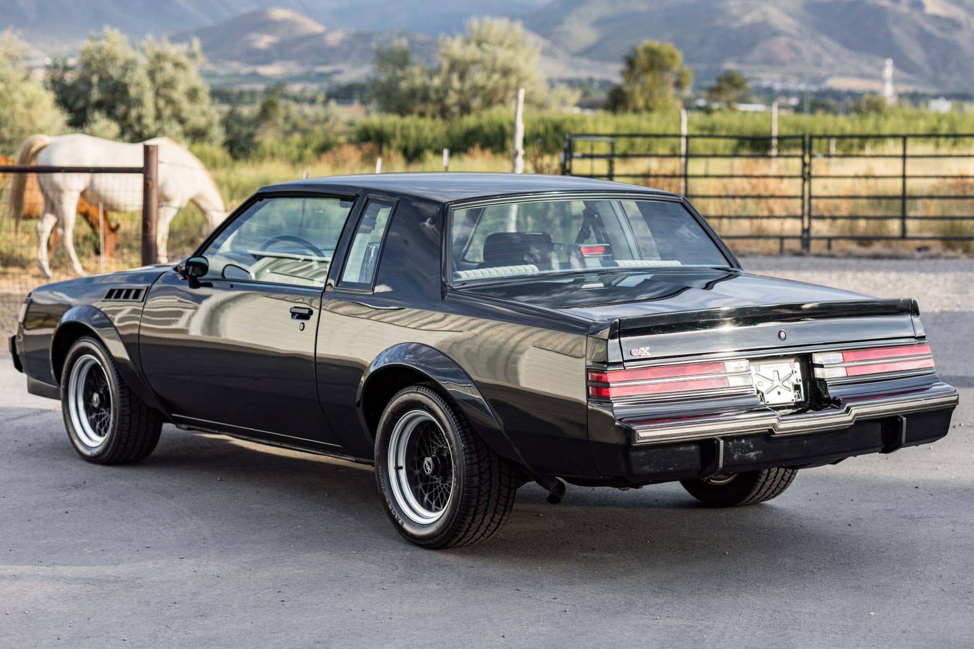 1987 Buick GNX