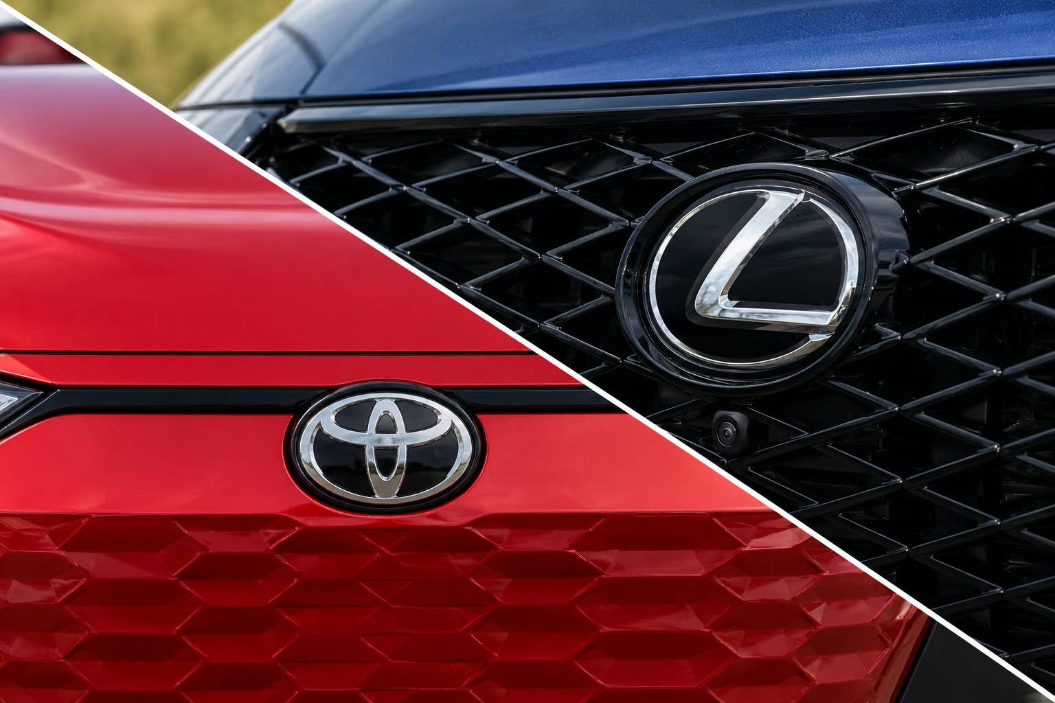 Toyota and Lexus badges