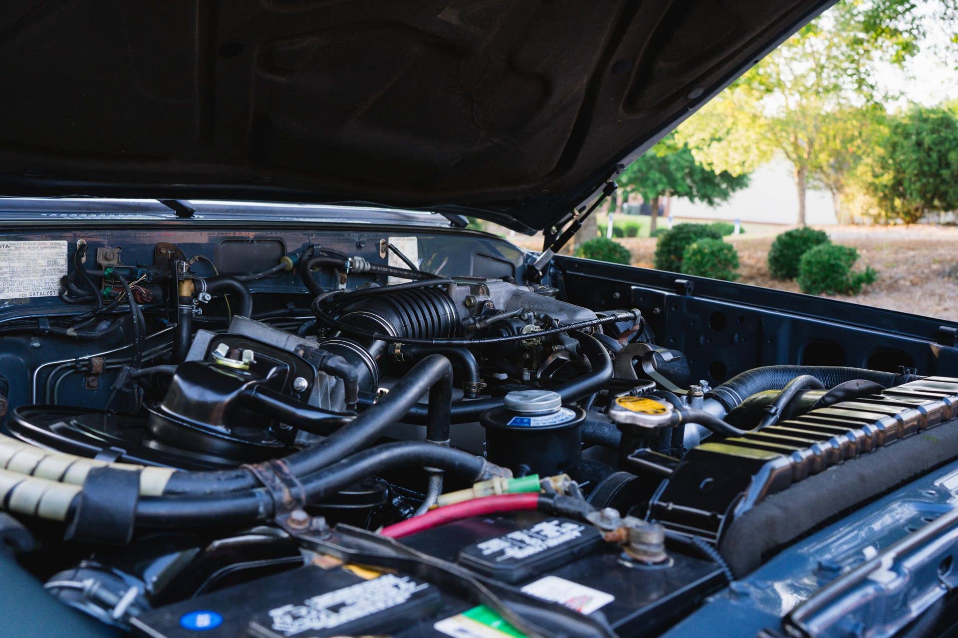 1989 Toyota Land Cruiser