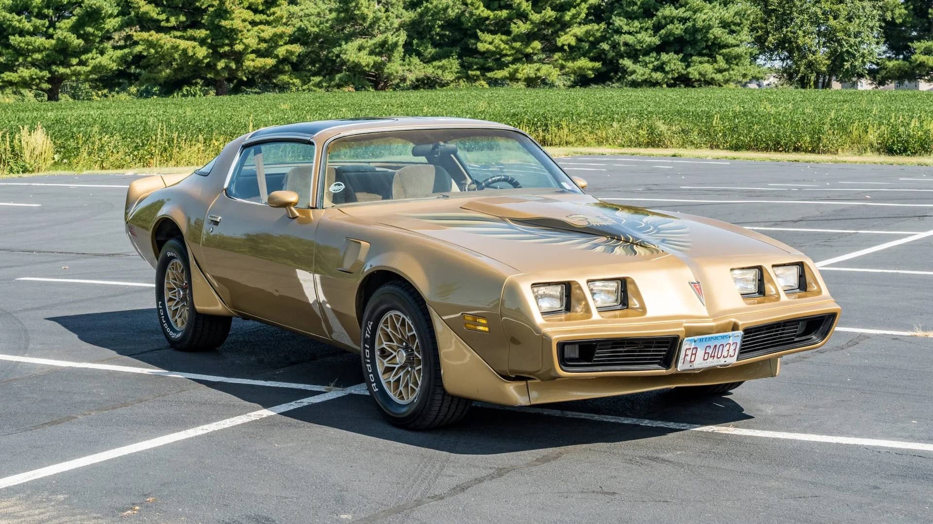 1979 Pontiac Firebird Trans Am 455 for Sale With 95k Miles Shown