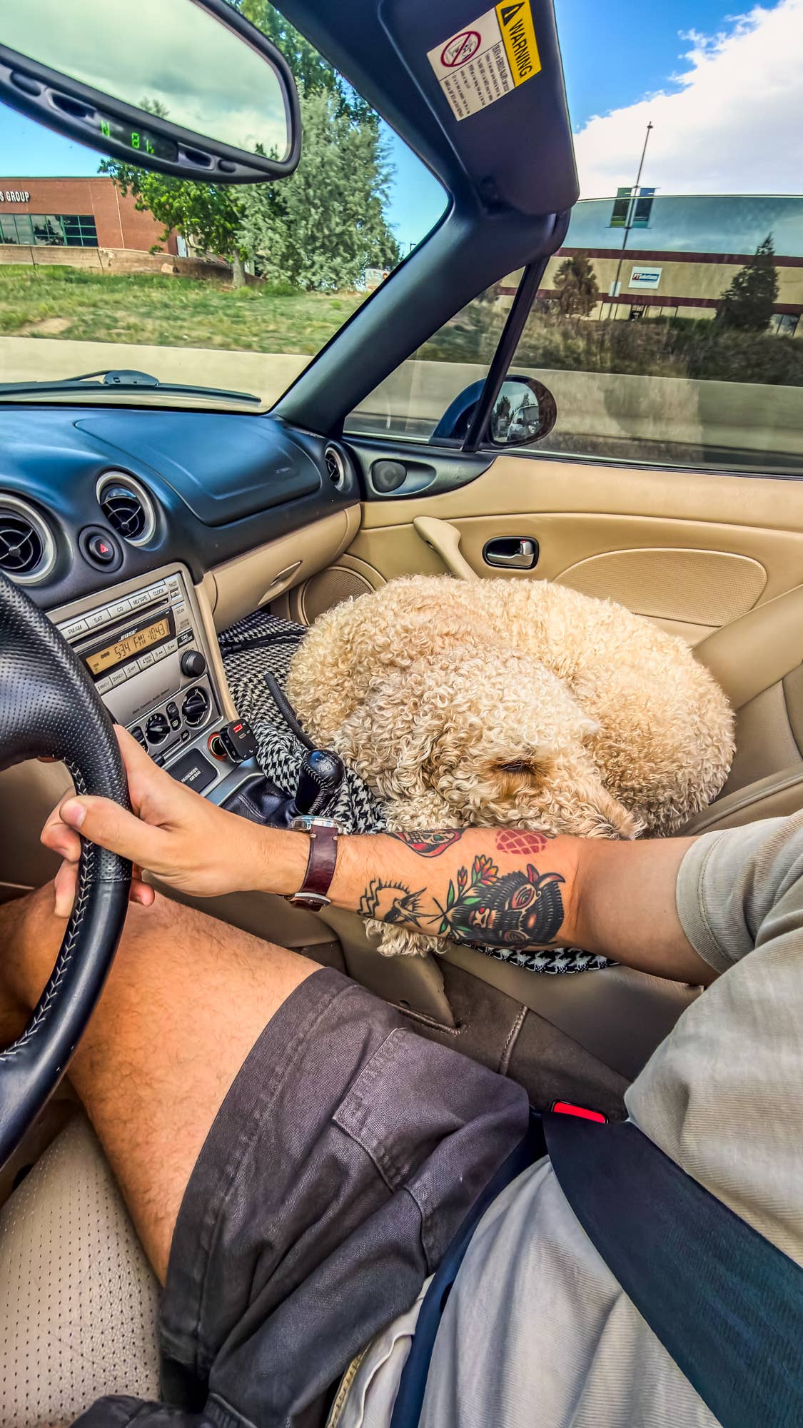 Miata dog bed