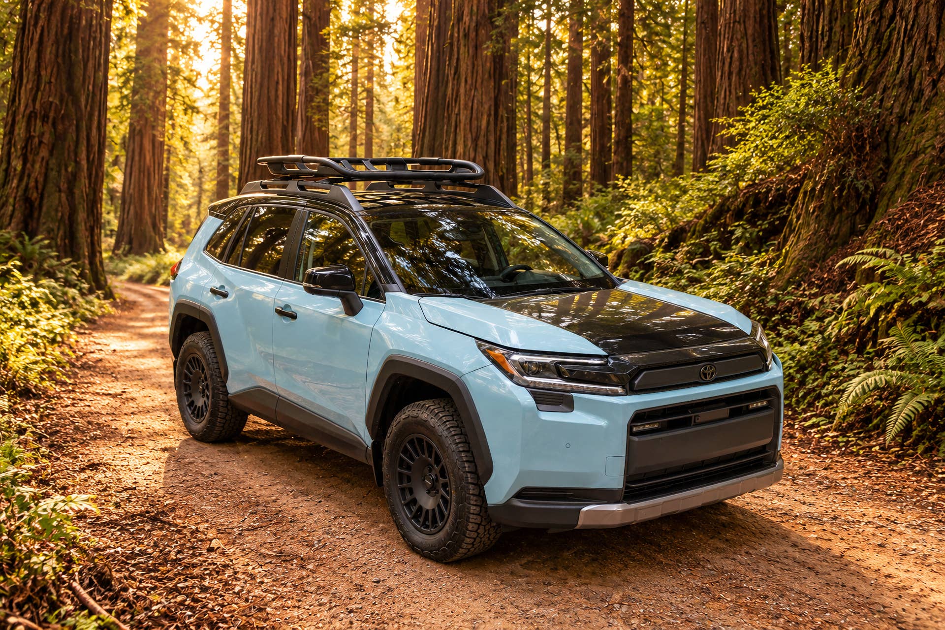 Toyota RAV4 Woodland Concept