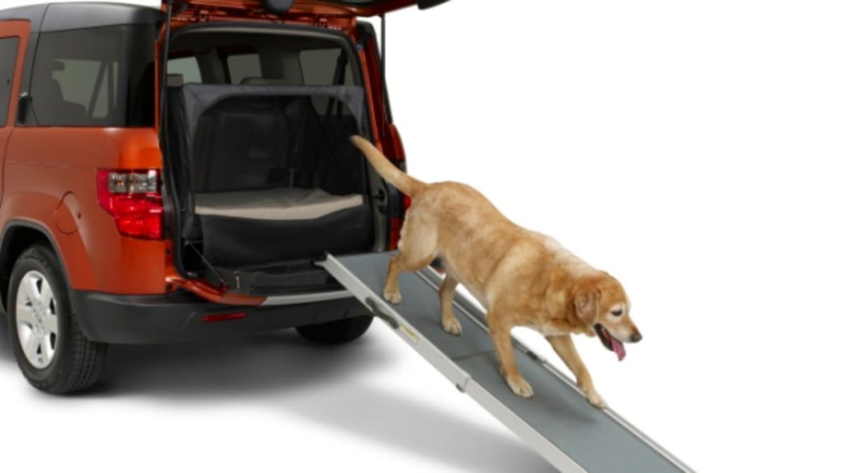 Honda element dog ramp store