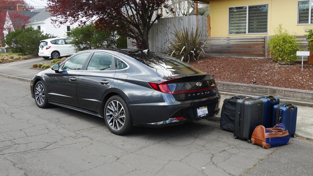 Sonata trolley bags clearance