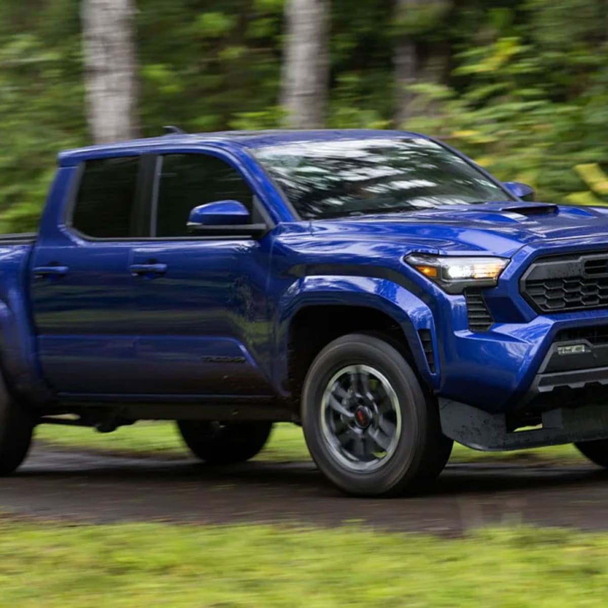 Toyota tacoma electric blue sale