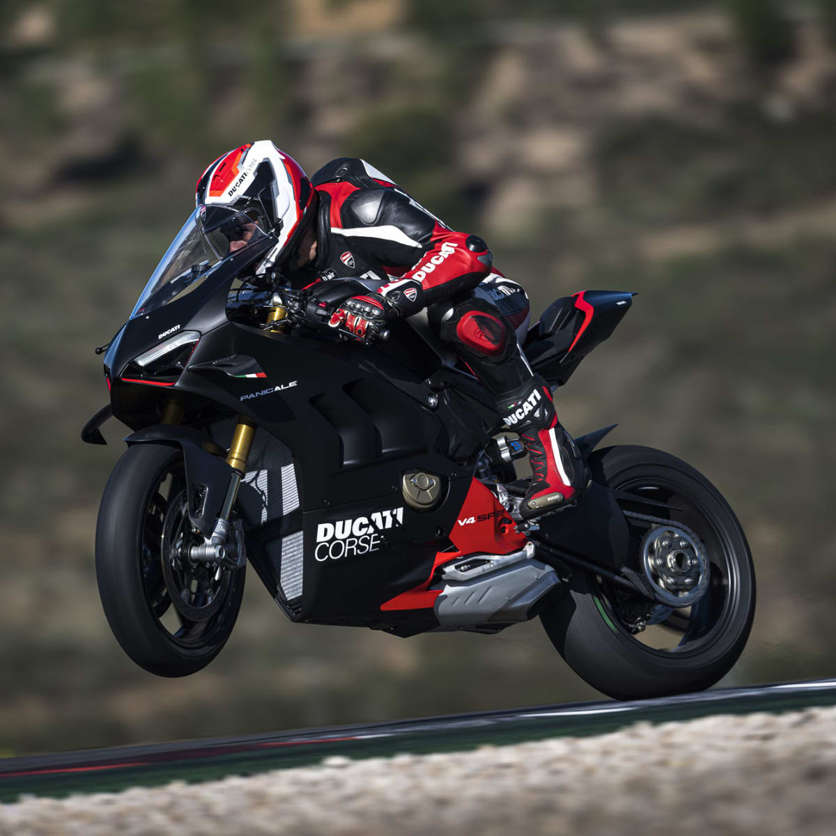 Ducati panigale v8 top