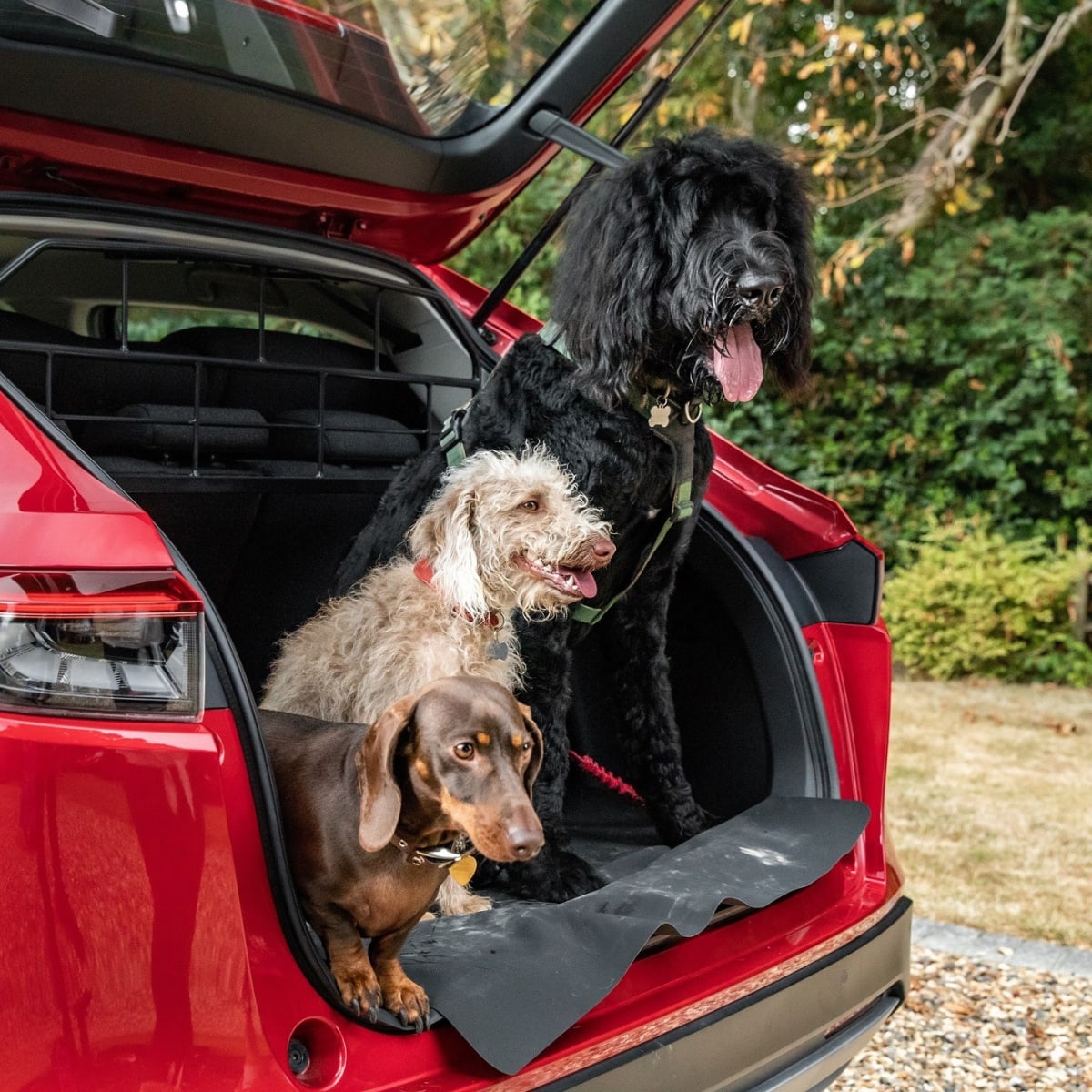 Honda crv dog accessories store