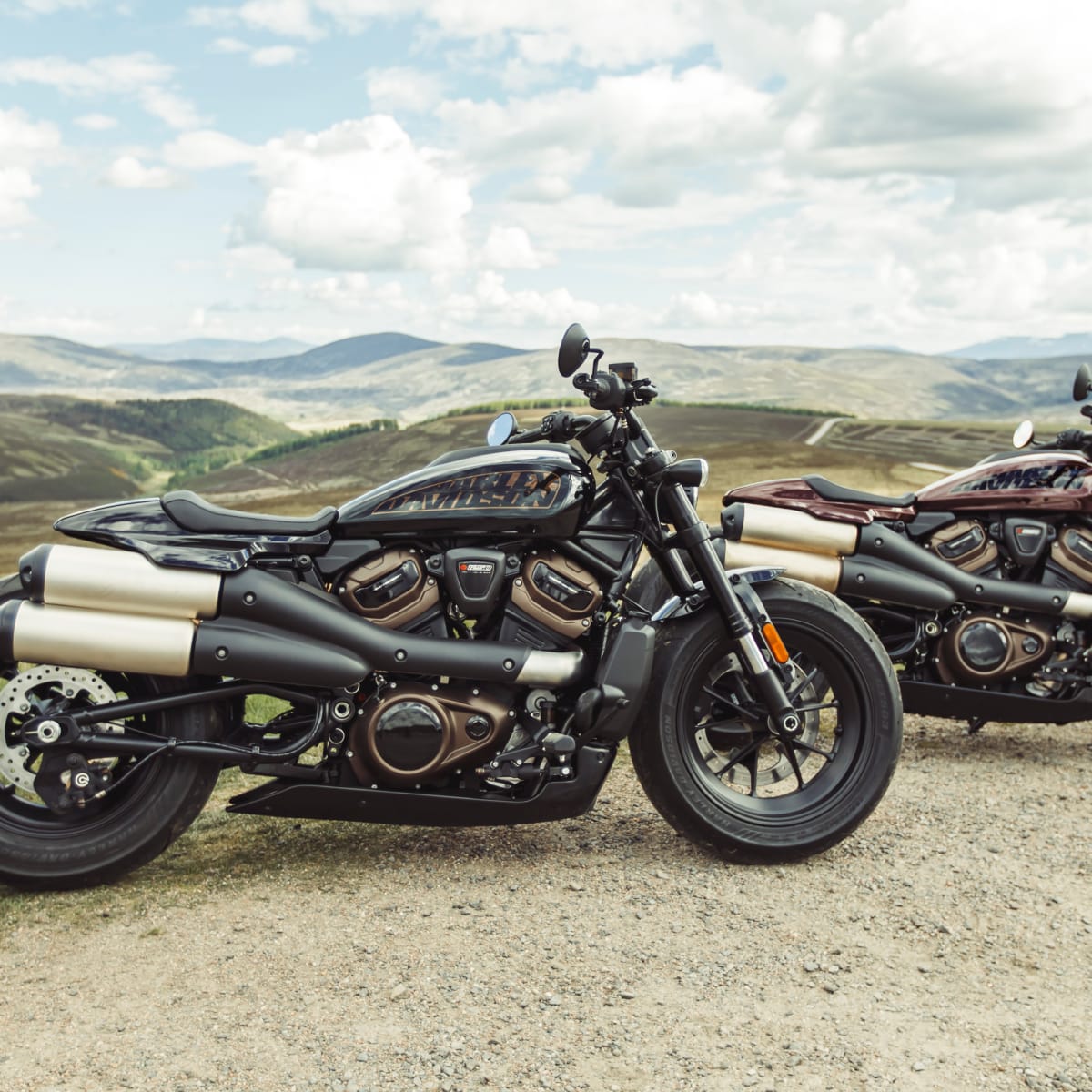 2003 sportster 1200 horsepower hot sale