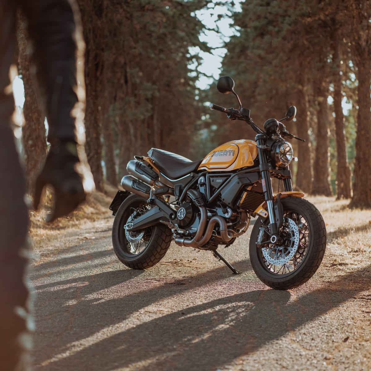 Ducati scrambler lineup outlet