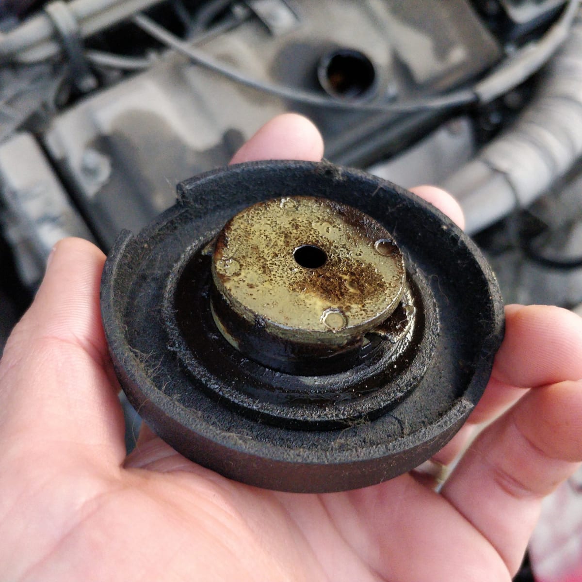 Head gasket blown sale