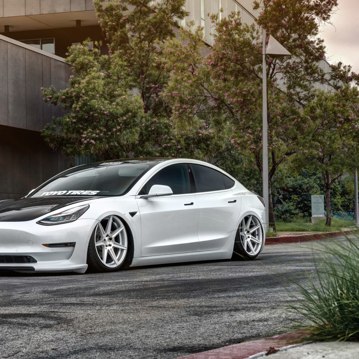 Slammed tesla model 3 sale