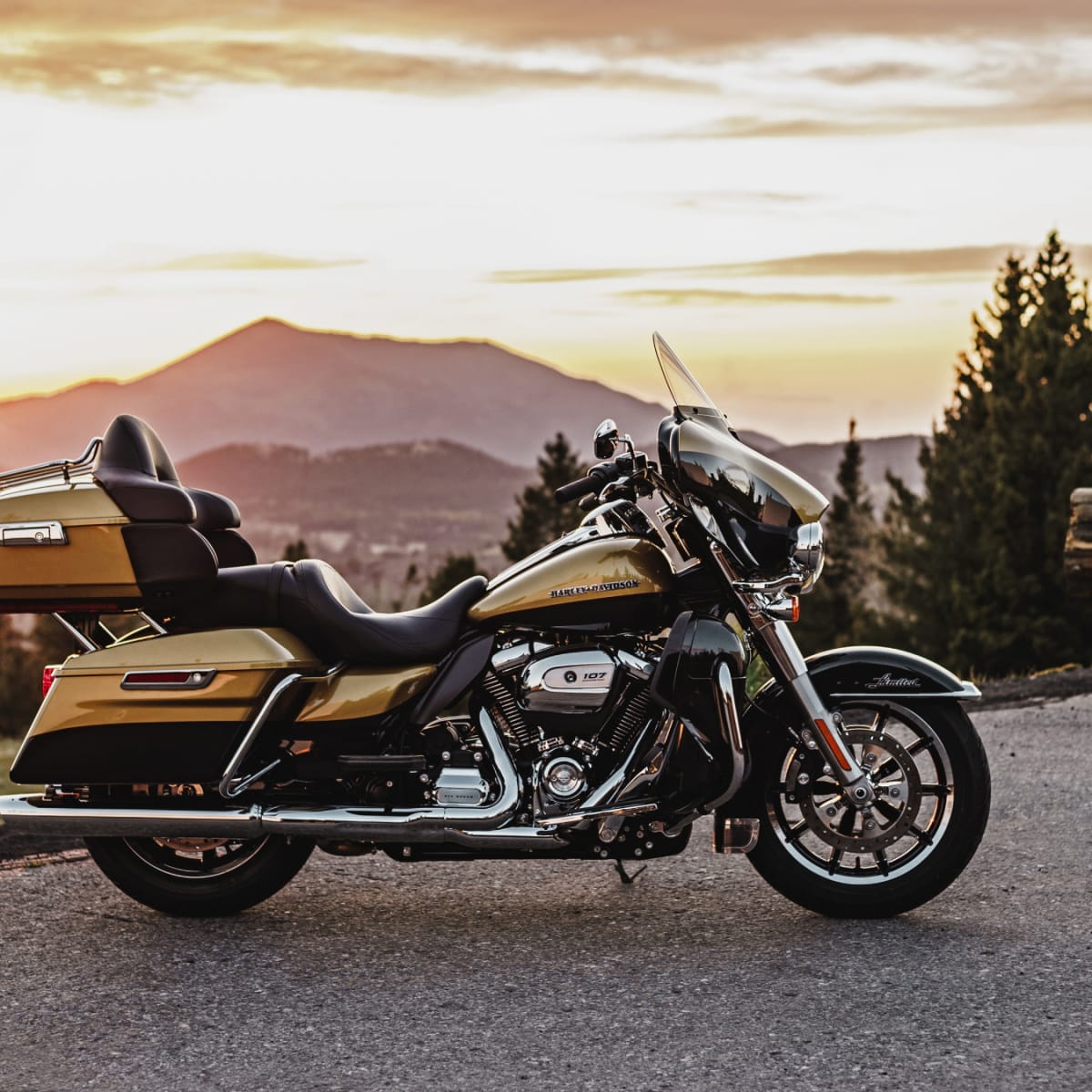 Harley davidson 107 deals