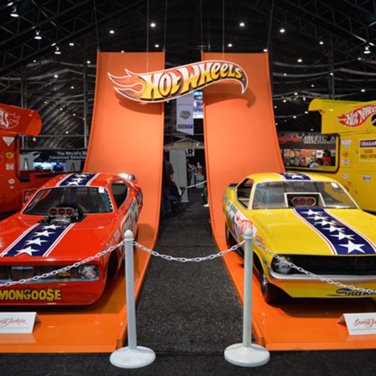 Snake and mongoose transporters hot sale