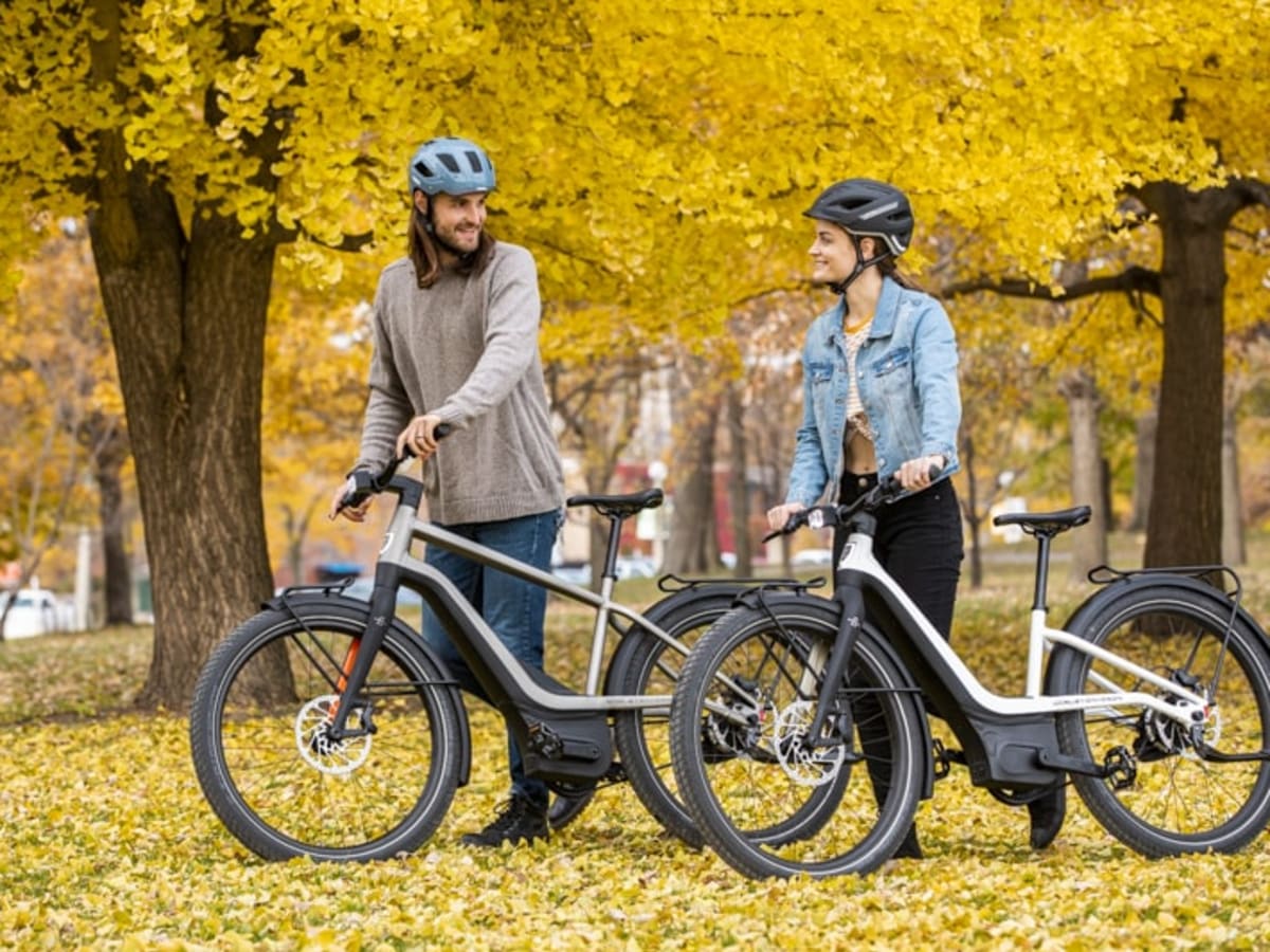 Harley davidson serial 1 price deals