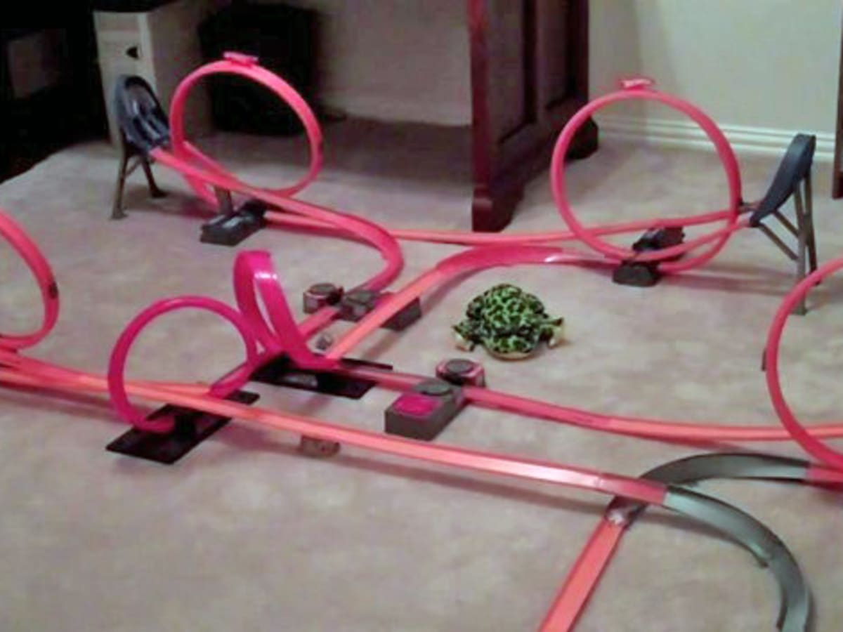 Pink hot wheels track discount