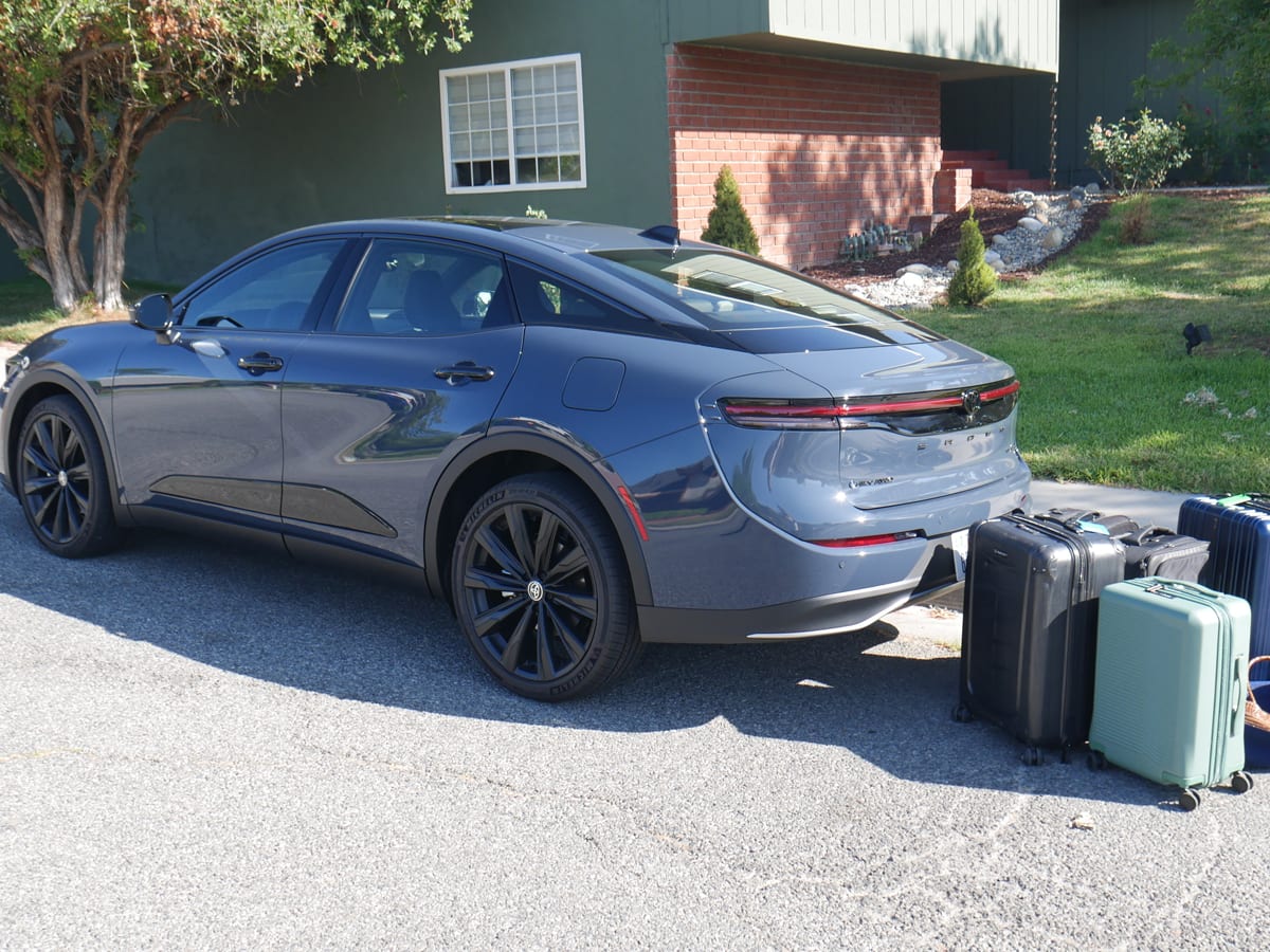 Crown luggage online