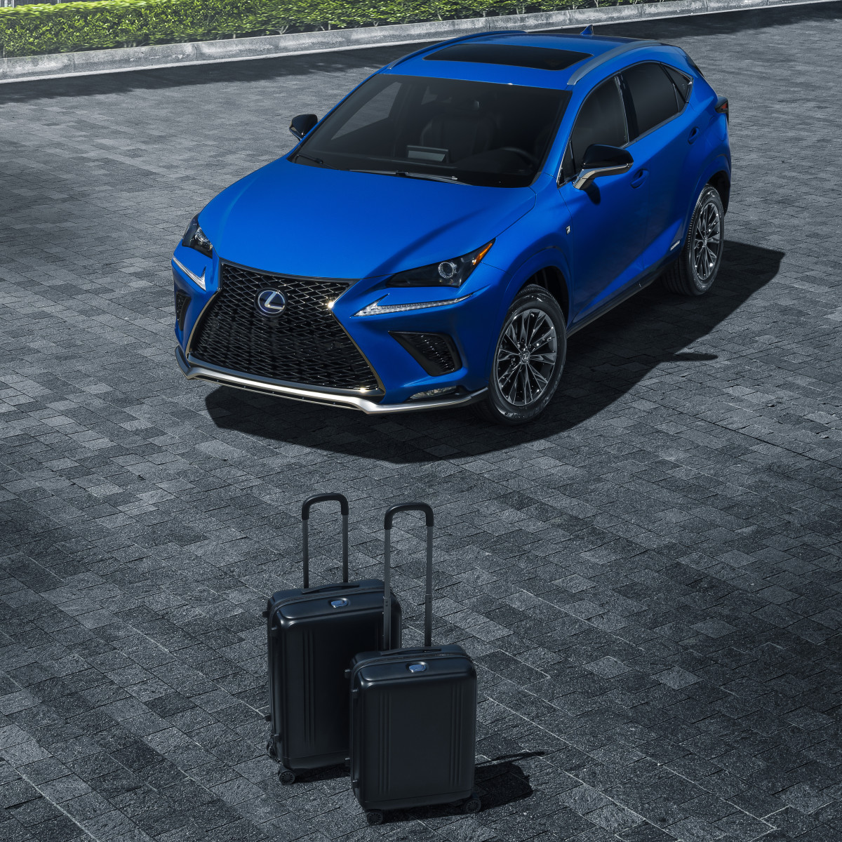2021 Lexus NX 300h F Sport Black Line adds flair and luggage