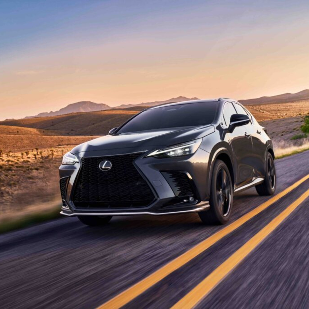 2025 Lexus NX: 4 reasons to love it, 2 reasons to think twice