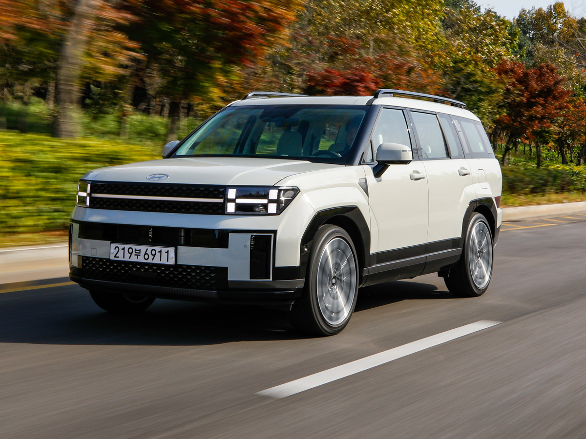 2024-hyundai-santa-fe-action-