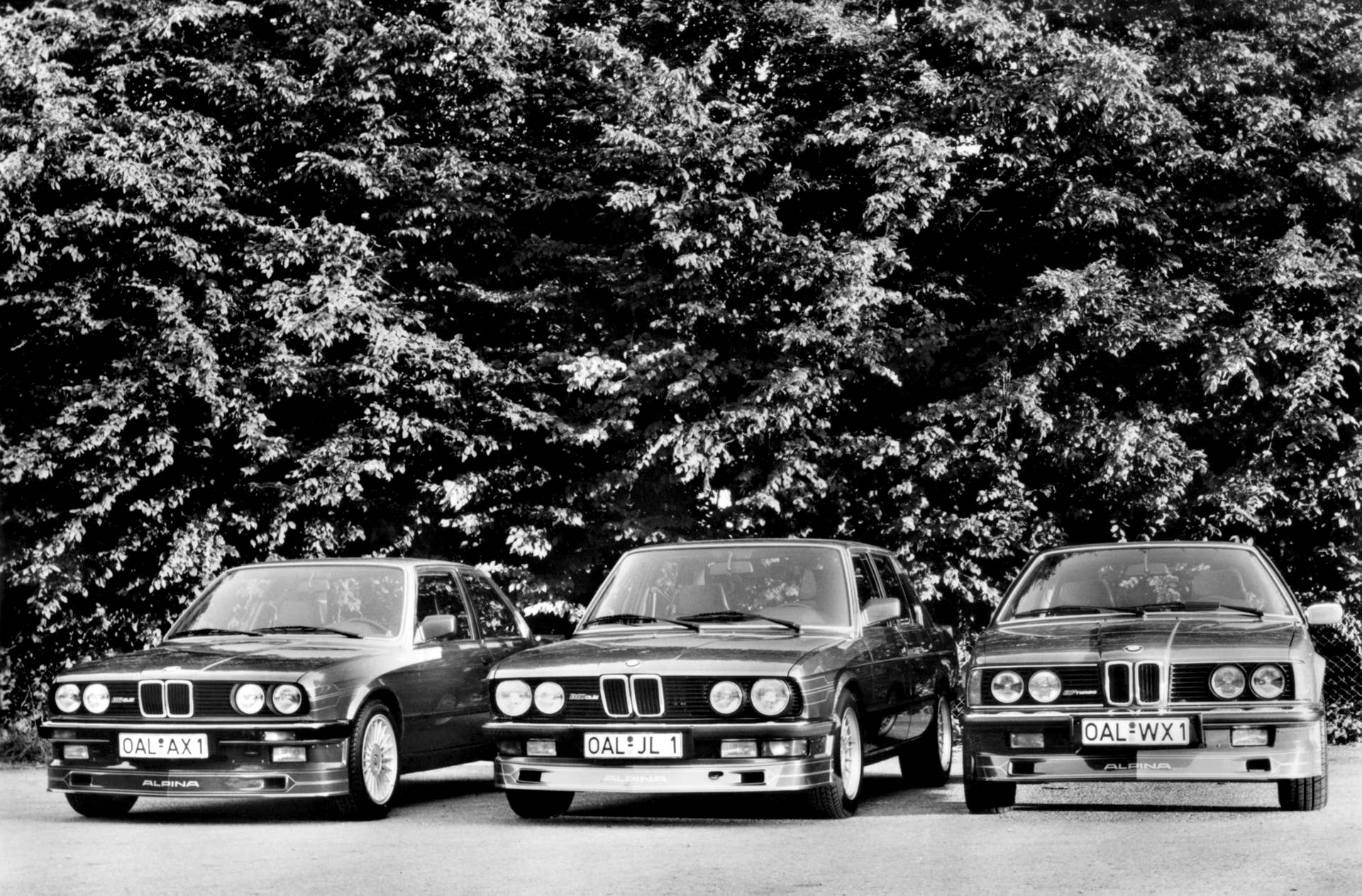 alpina.jpg