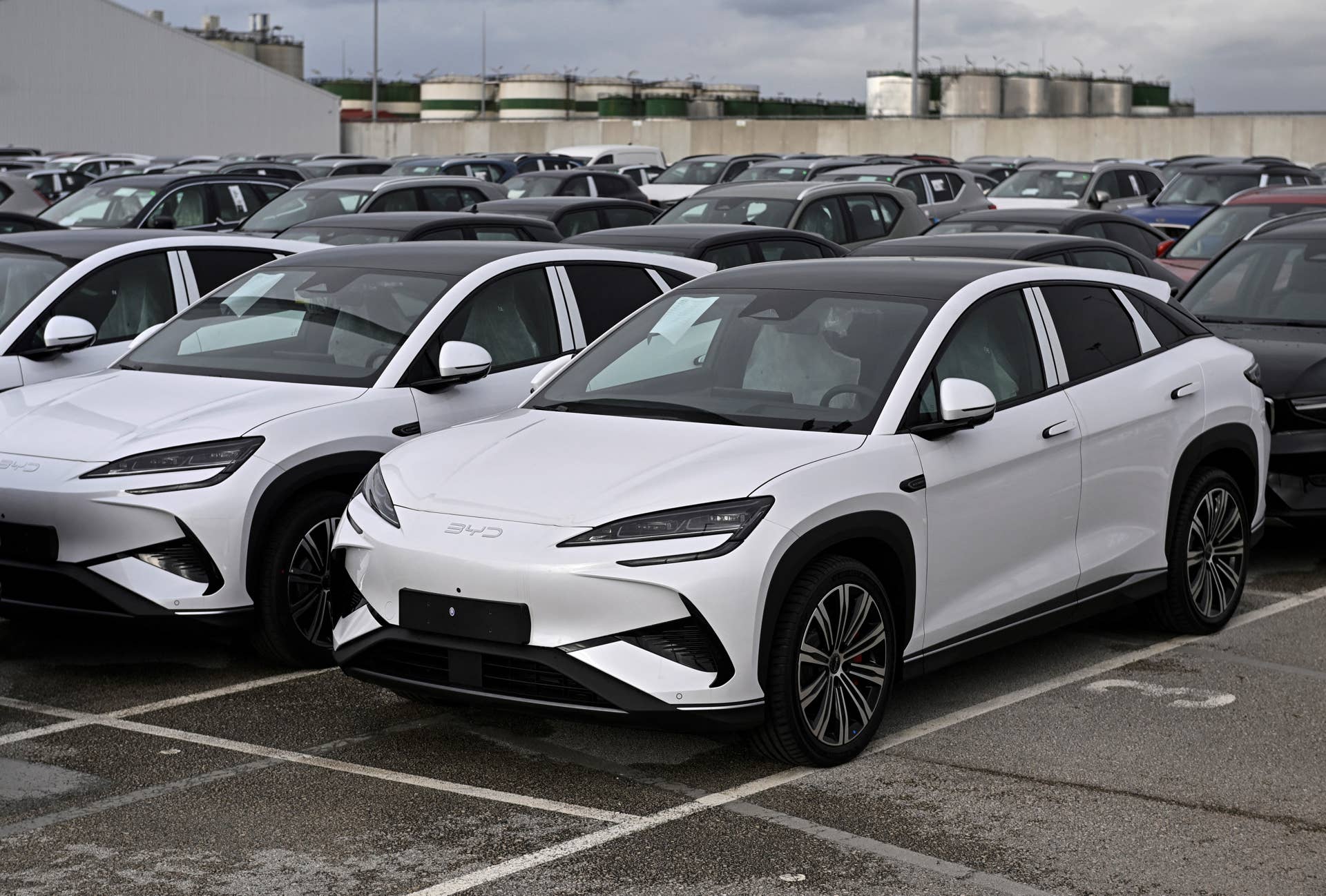 newly-manufactured-byd-electric-vehicles.jpg