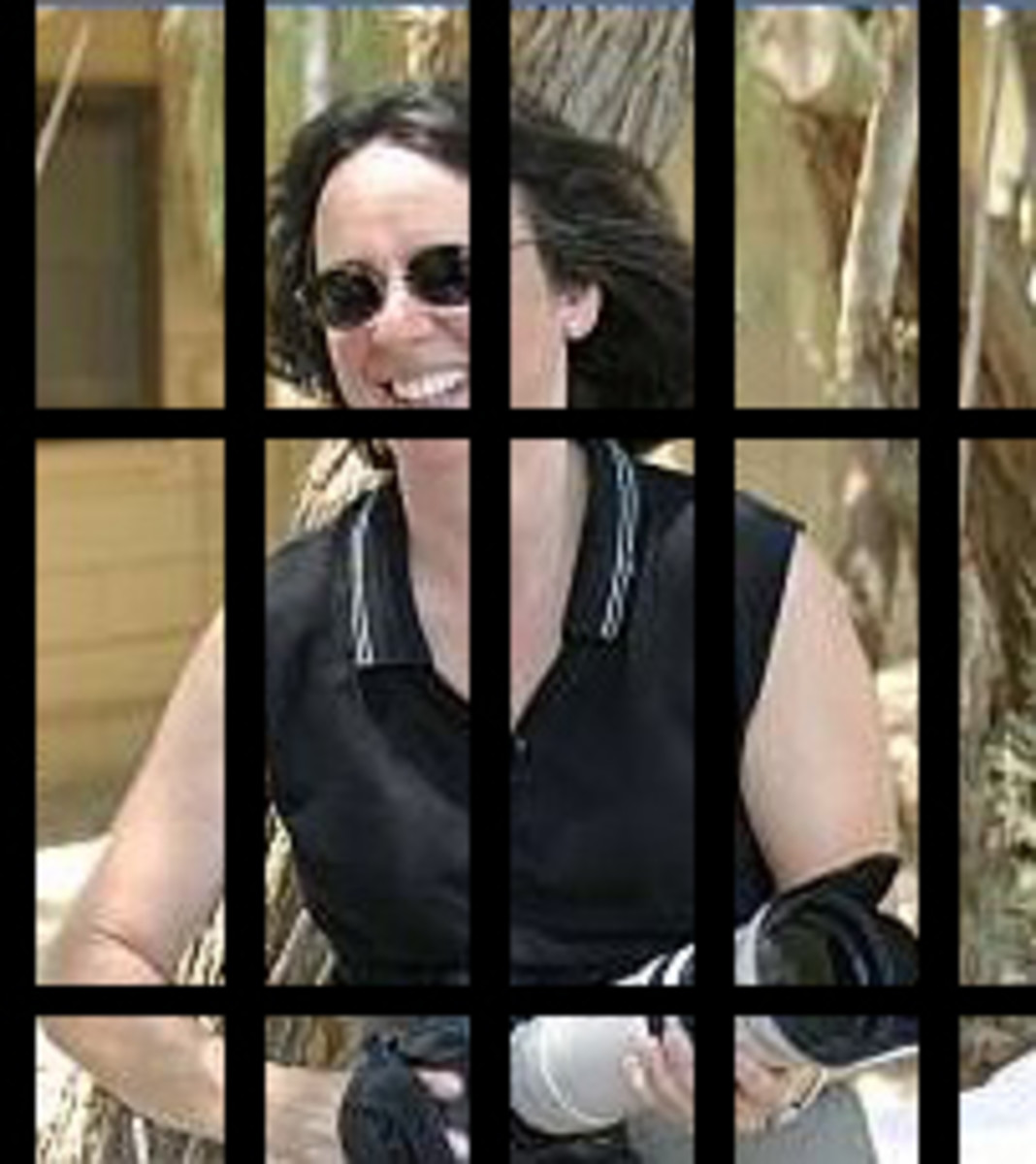 Brenda Priddy incarcerated for a good cause Autoblog Car News