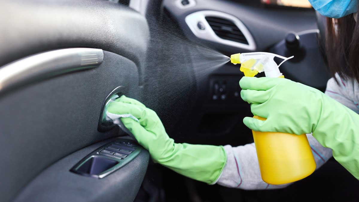 How to Get Rid of Ants in Car how to get rid of ants in car